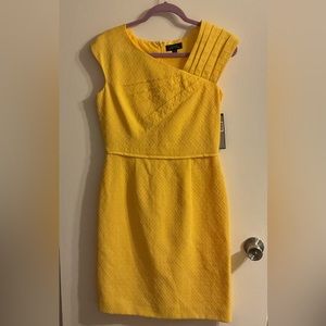Beautiful Tahari Size 6 Women’s dress NWT’s